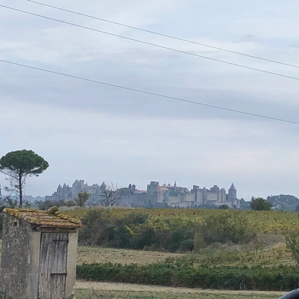 投稿写真：カルカソンヌ