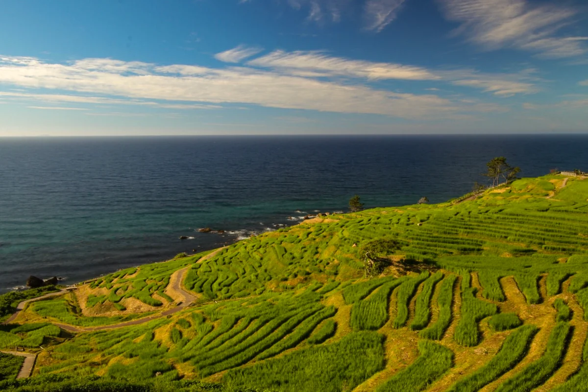 投稿写真：千枚田と空と海