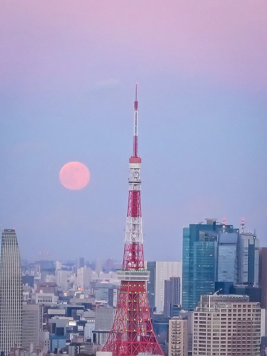 投稿写真：パール東京タワー~ピンクの満月