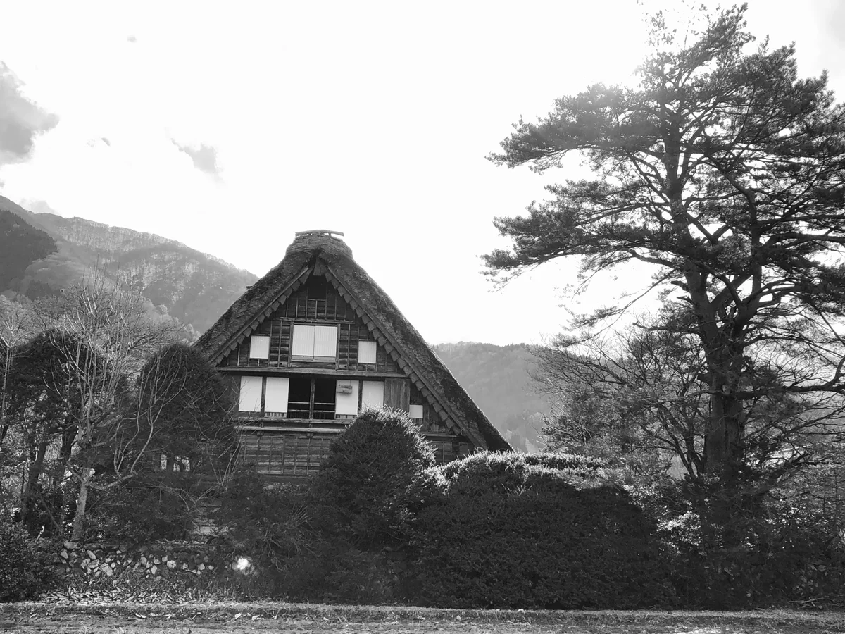 投稿写真：和田家