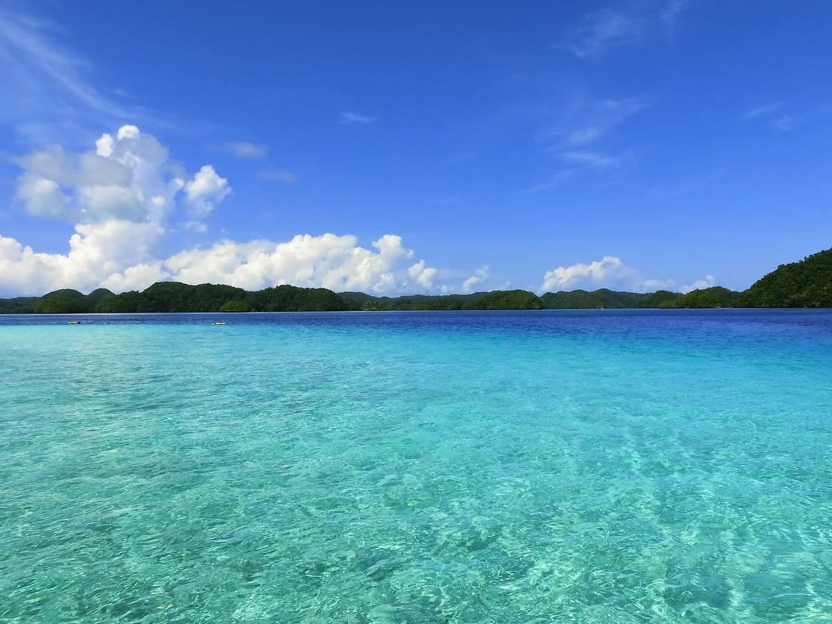 投稿写真：パラオ　ガルメアウス島