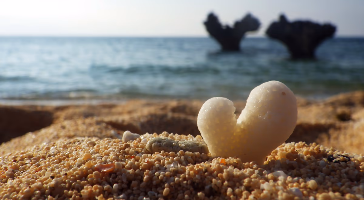 投稿写真：HEART ISLAND