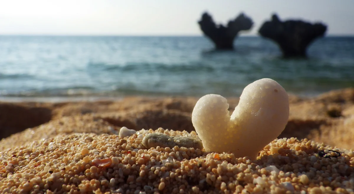 投稿写真：HEART ISLAND