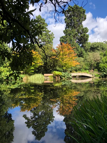 投稿：池に反射する景色
