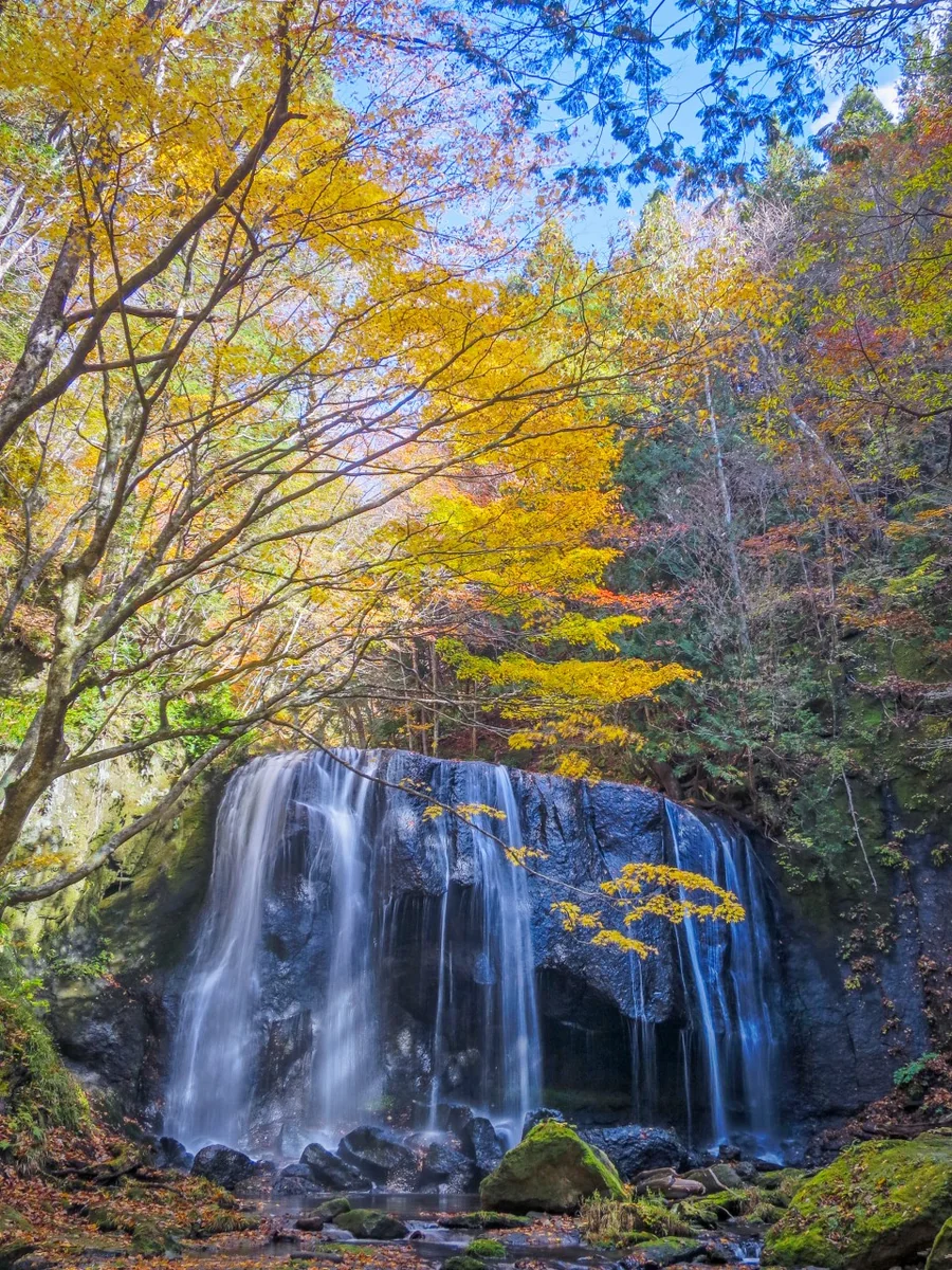 投稿写真：紅葉の達沢不動滝