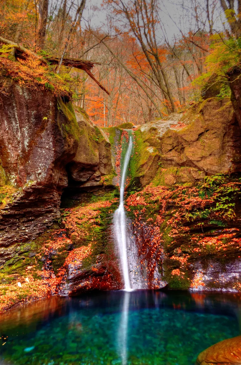 投稿写真：おしらじブルー　秋の色