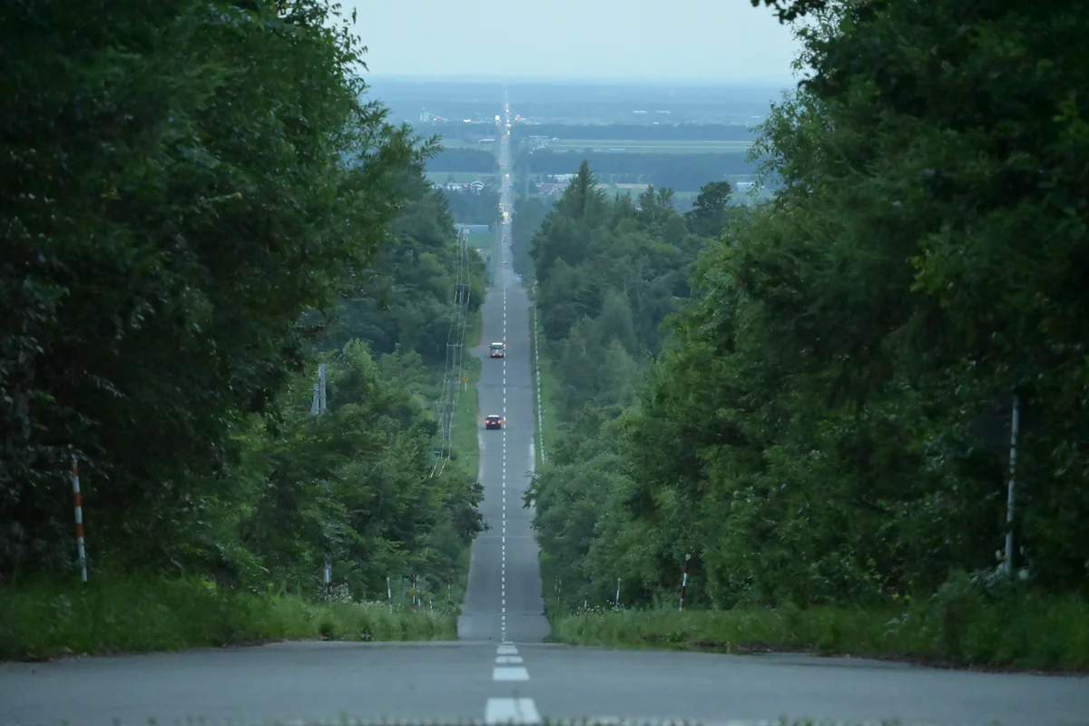 投稿写真：一直線。