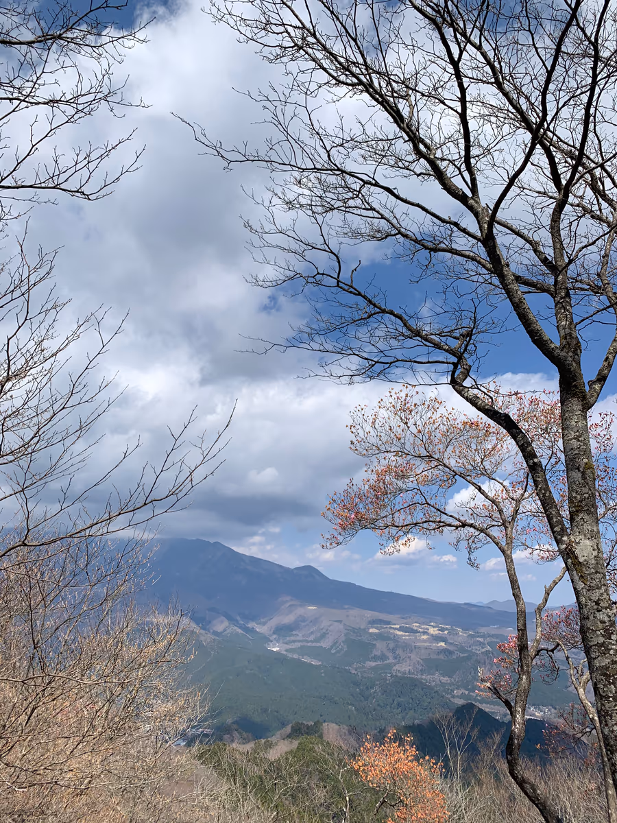 投稿写真：鳴虫山からみる景色
