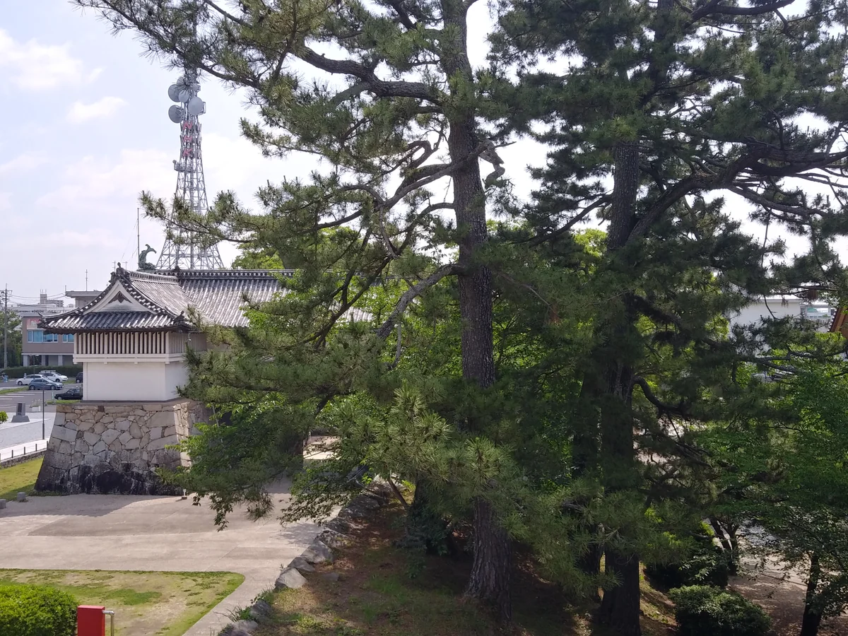 投稿写真：佐賀城鯱の門