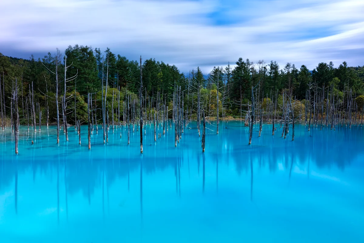 投稿写真：秋の足音が！