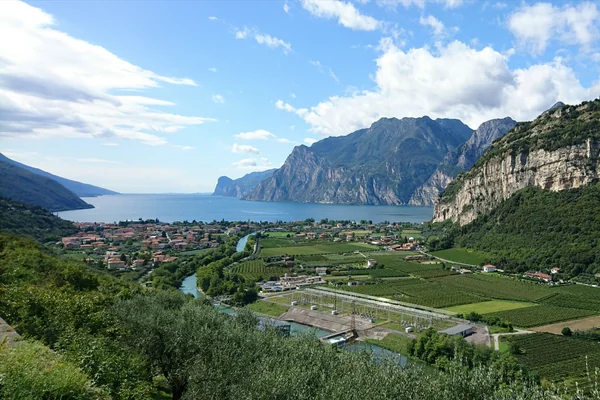 投稿：イタリア アルコ