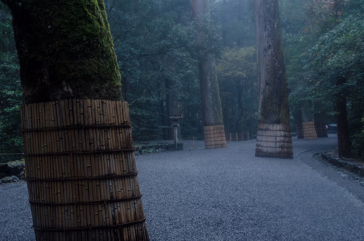 投稿写真：霊験あらたかな参道