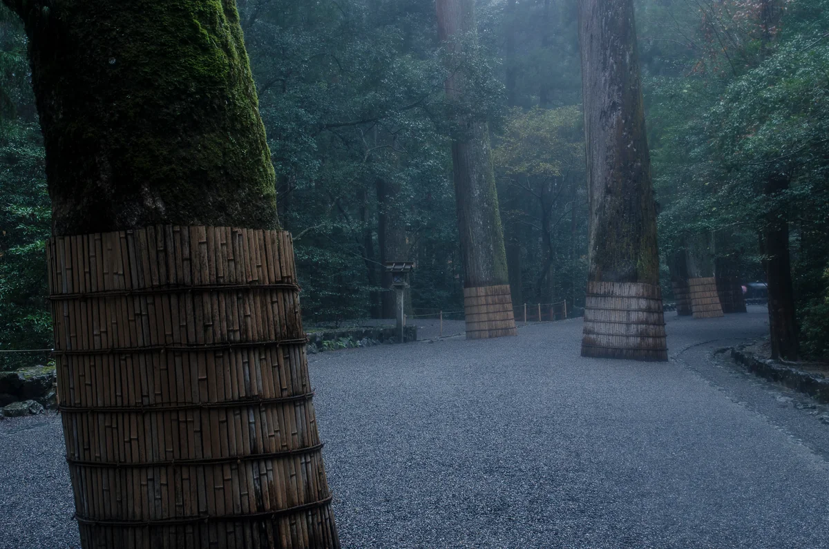投稿写真：霊験あらたかな参道