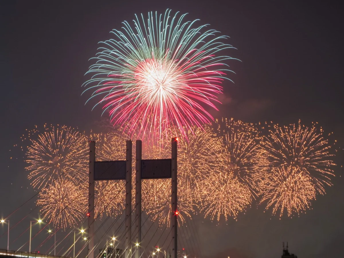 投稿写真：東京競馬場花火と斜張橋