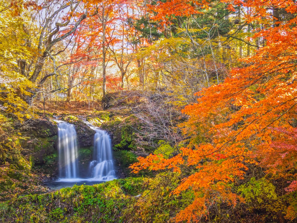 投稿写真：鐘山の滝と紅葉
