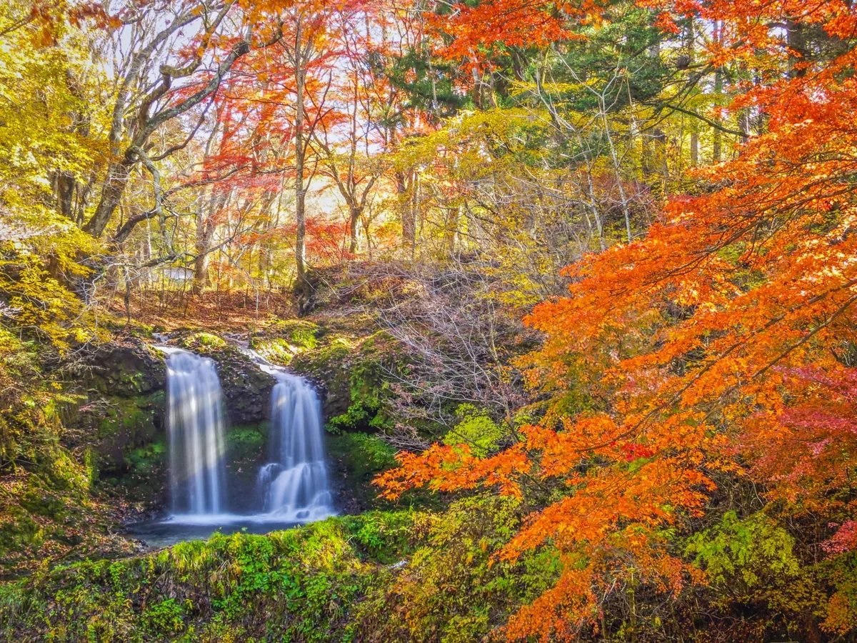 投稿写真：鐘山の滝と紅葉