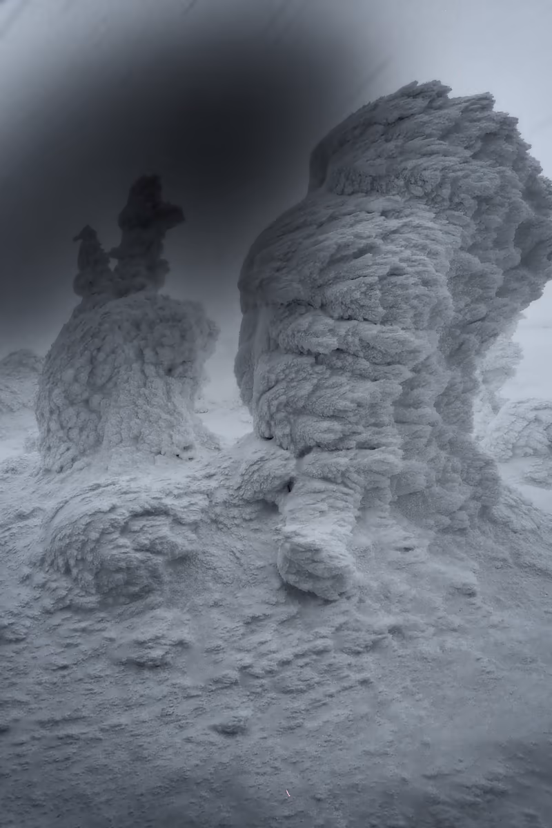 投稿写真：蔵王　厳冬のモンスター