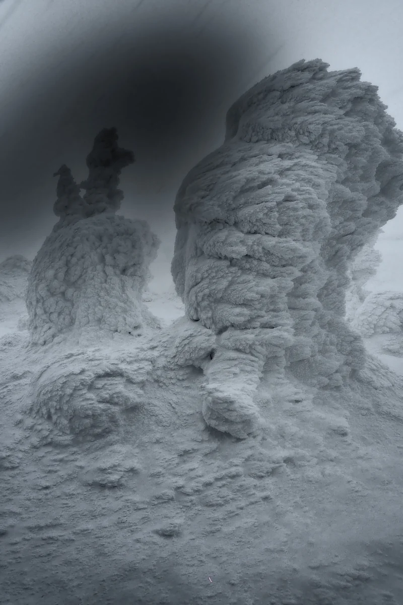 投稿写真：蔵王　厳冬のモンスター
