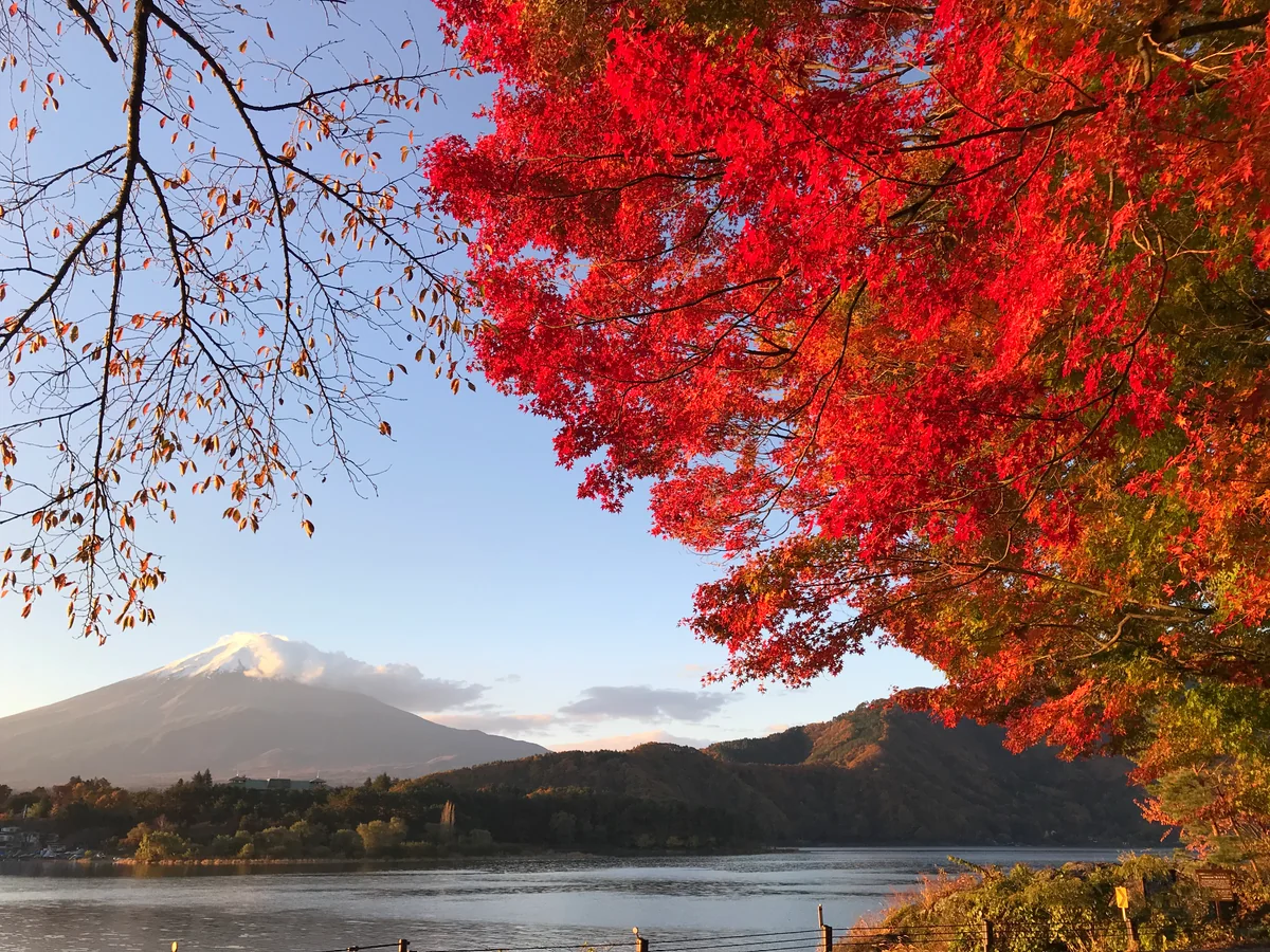 インプレッサさんの投稿写真