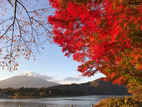 投稿：河口湖畔