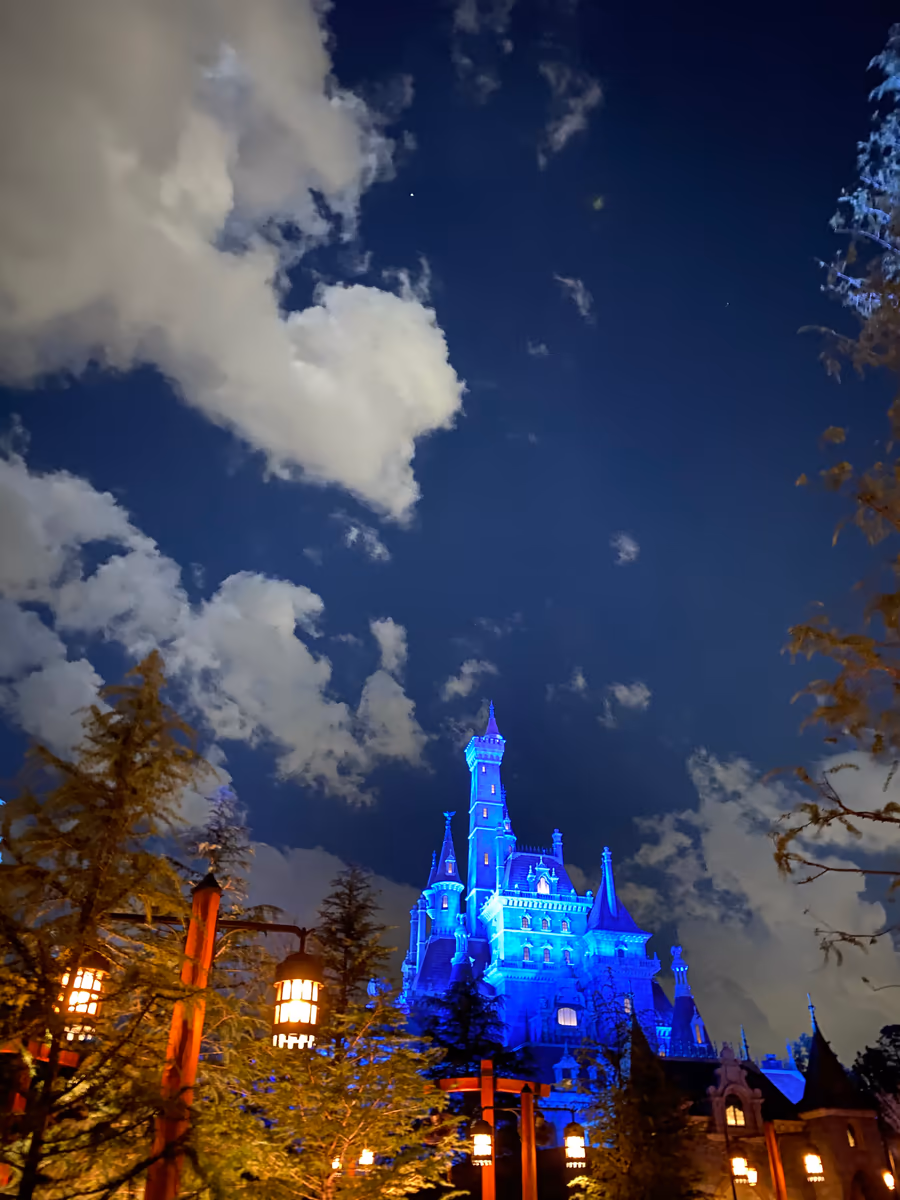 投稿写真：夜の東京ディズニーランド