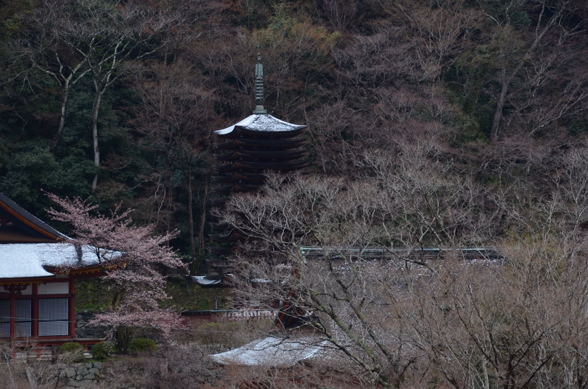 投稿写真：談山神社　季節外れの積雪