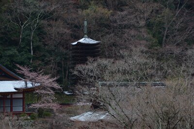  | 絶景事典
