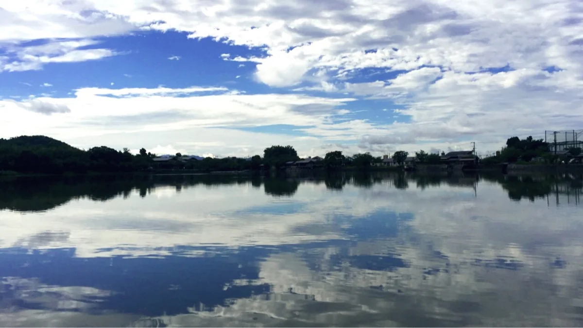 投稿写真：広沢池