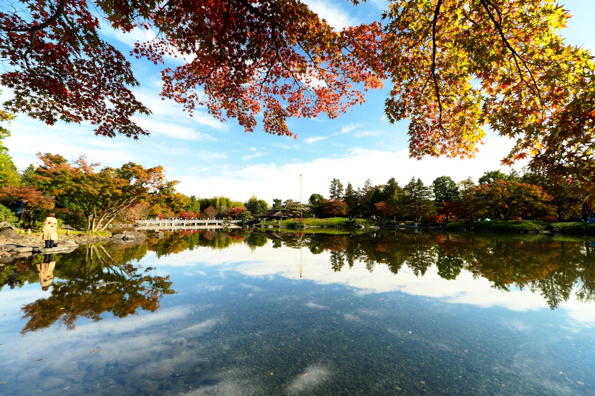投稿写真：秋の日本庭園