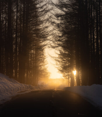 投稿：光の射し込む朝