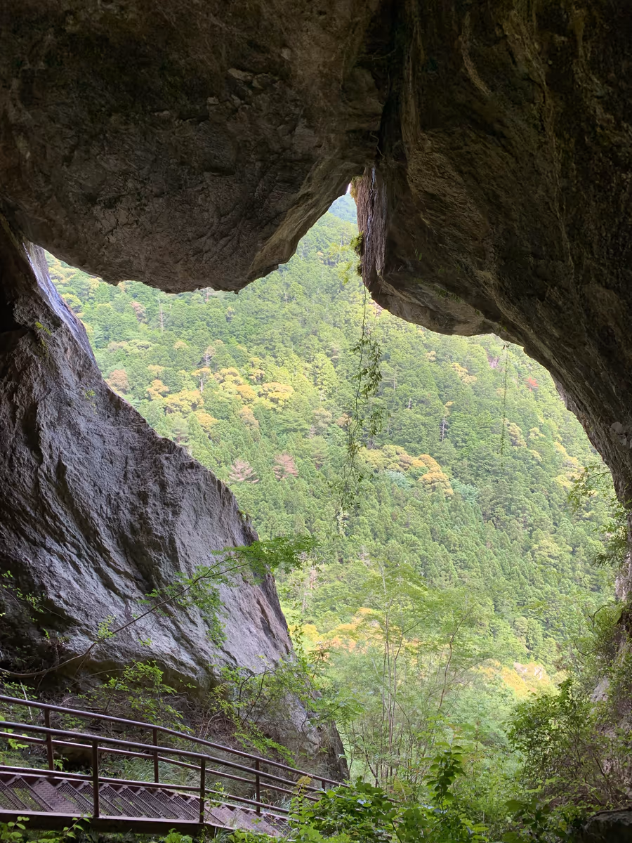 投稿写真：巨大ネコ？！　愛知の秘境『乳岩峡』