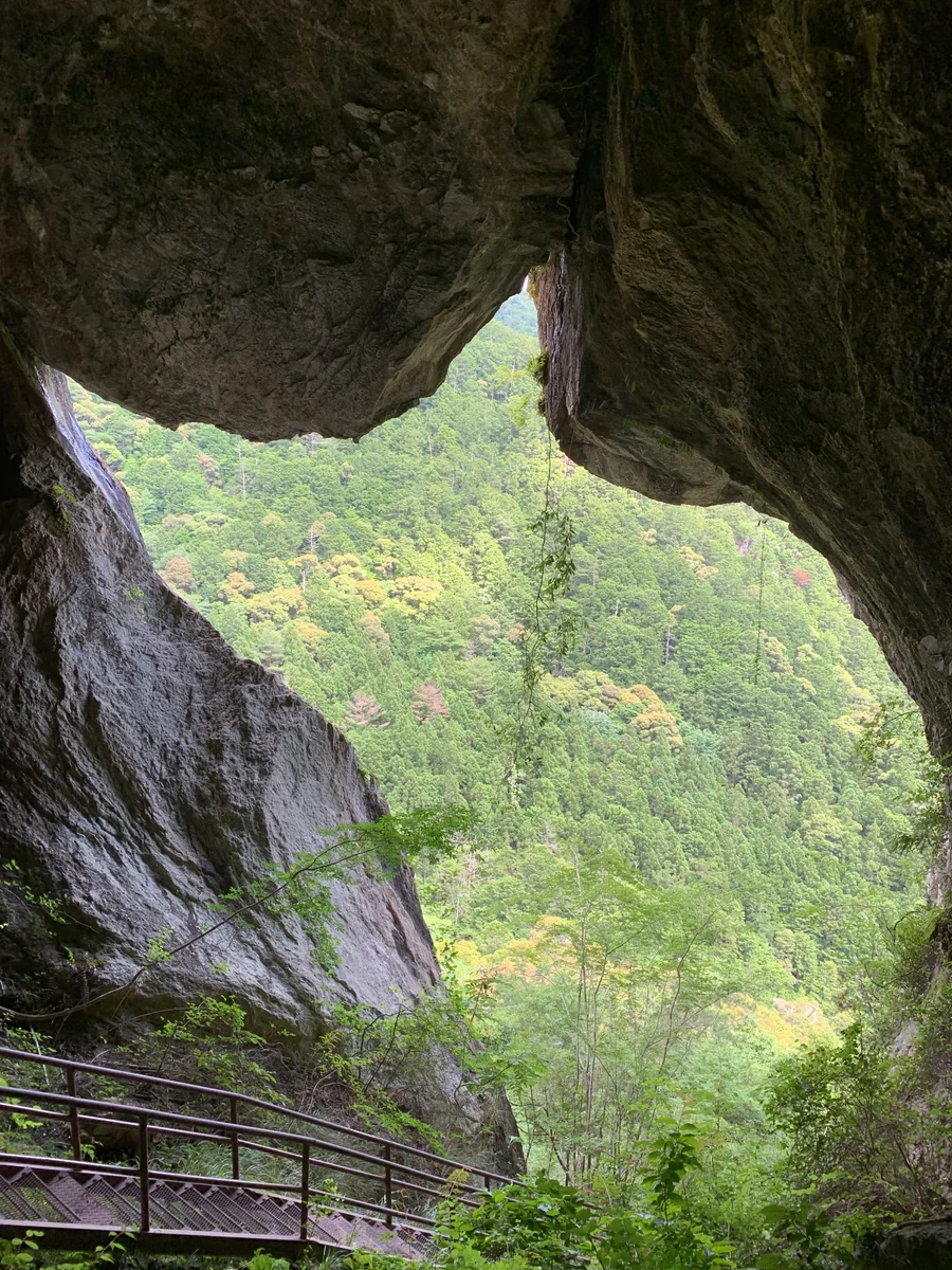 投稿写真：巨大ネコ？！　愛知の秘境『乳岩峡』