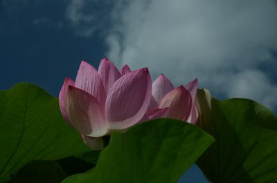  | 絶景事典