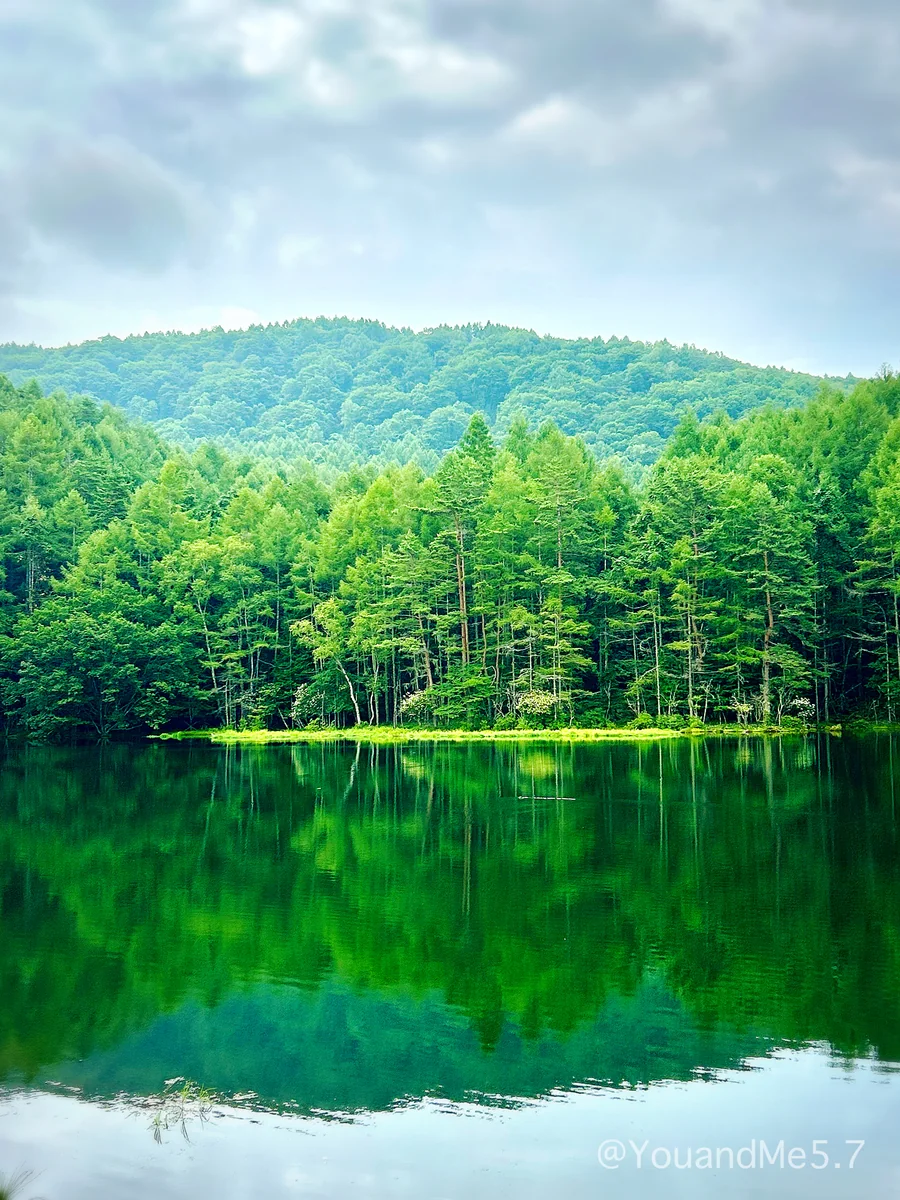 投稿写真：東山魁夷画伯の世界