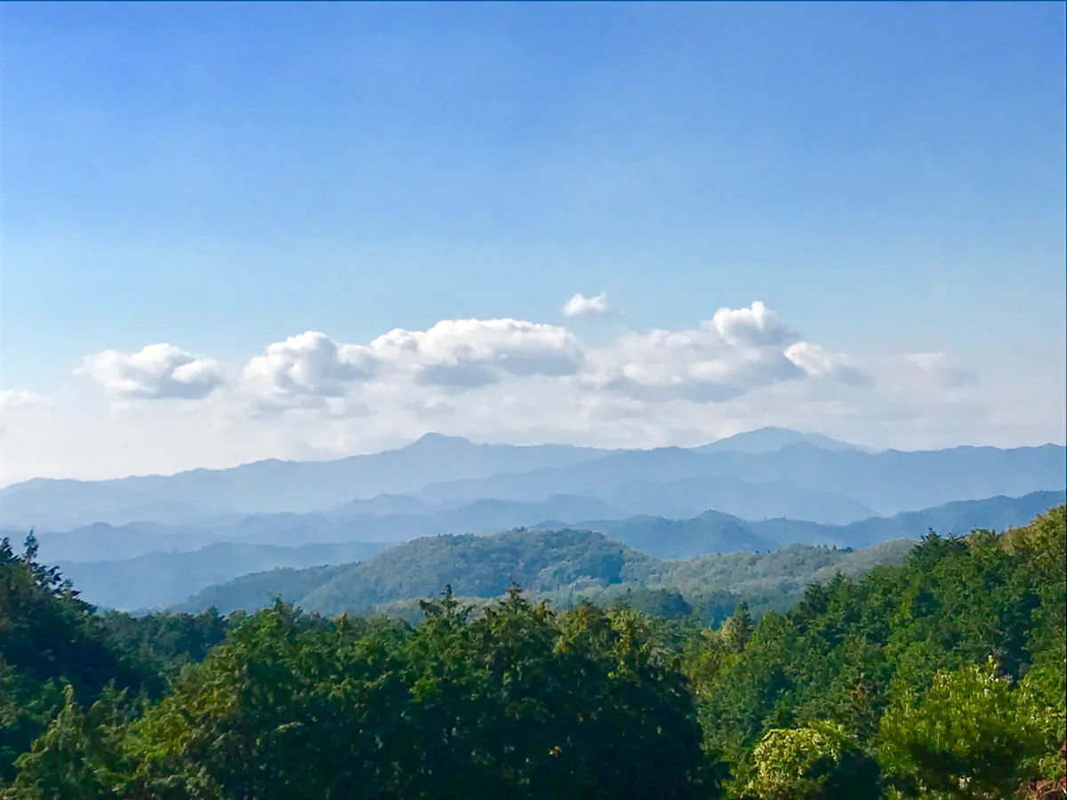 投稿写真：奥武蔵の山から大岳山と御前山を臨む