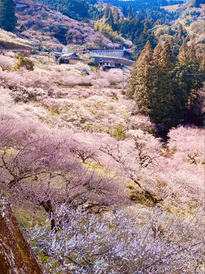  | 絶景事典