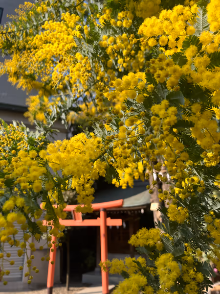投稿：蔵前神社