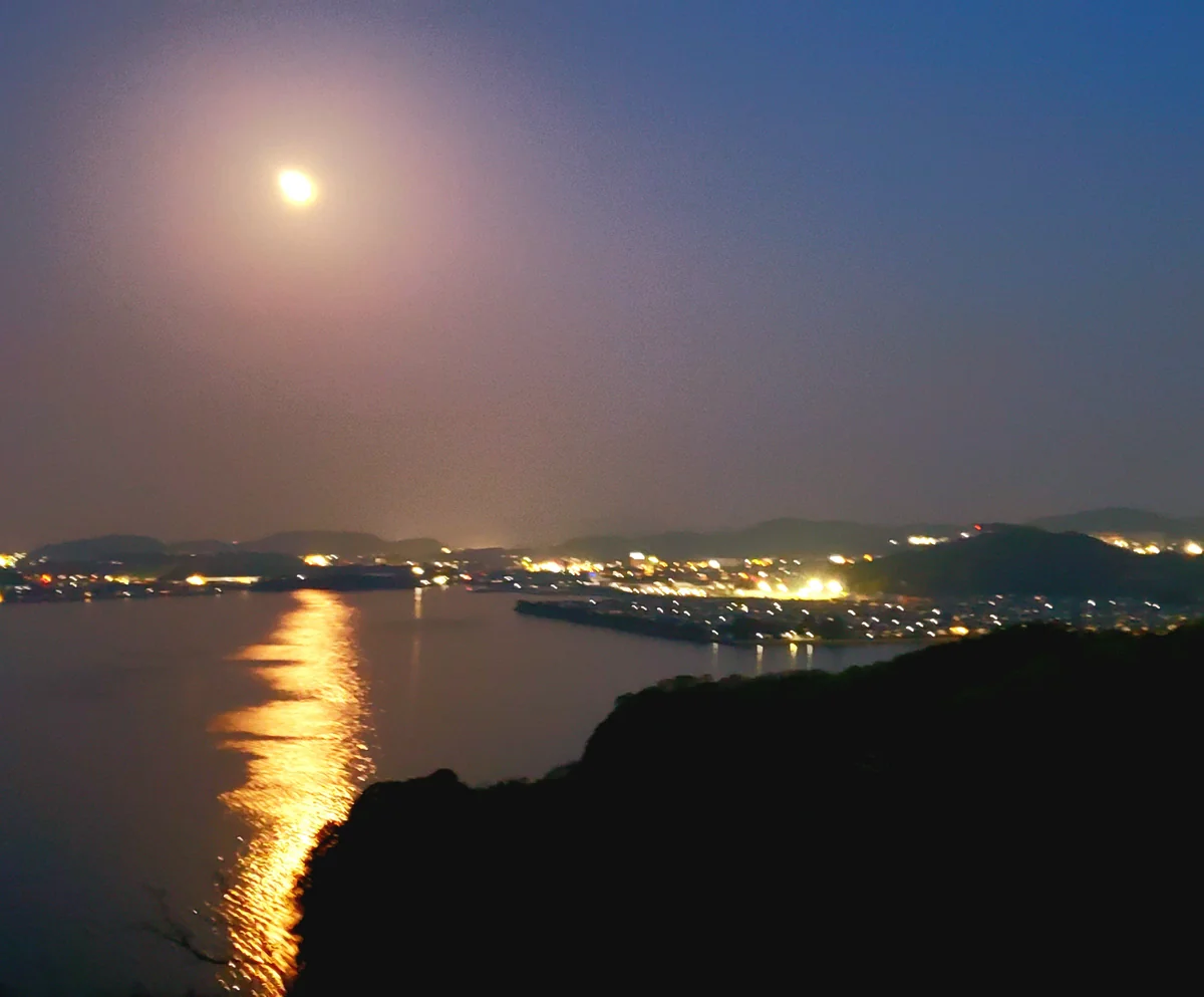 投稿写真：のぞみ公園