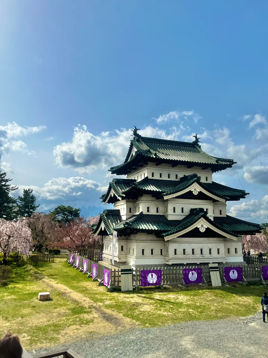 投稿写真：弘前さくらまつり