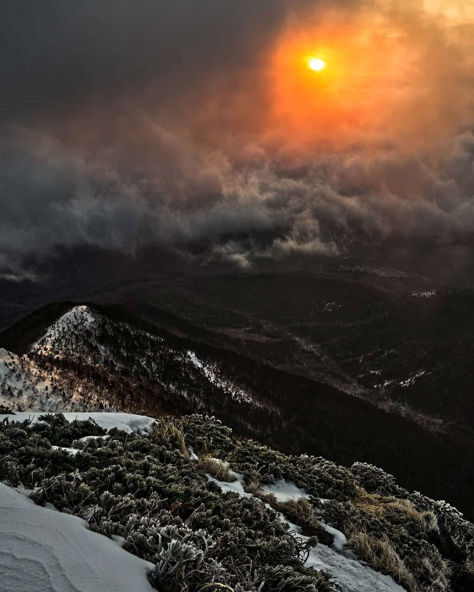 投稿写真：一瞬の輝き