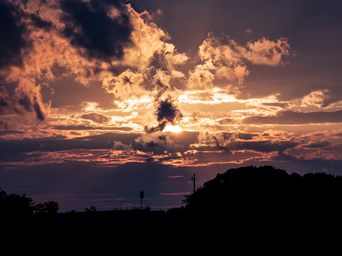 投稿写真：オータム・サンライト