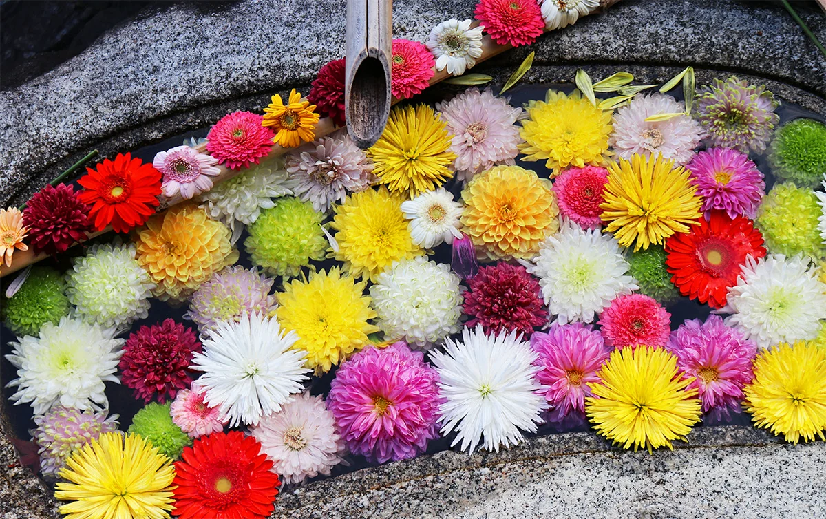 投稿写真：妙顕寺