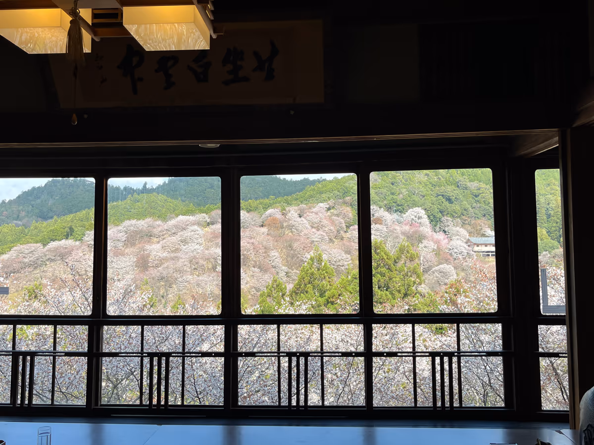 投稿写真：吉野千本桜