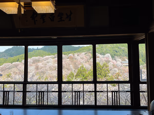 投稿：吉野千本桜