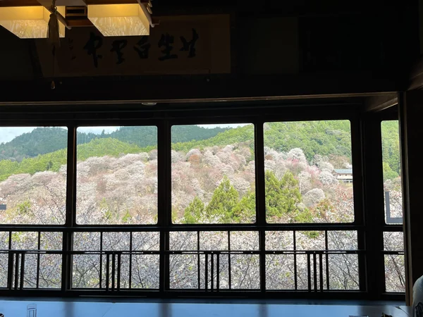 投稿：吉野千本桜