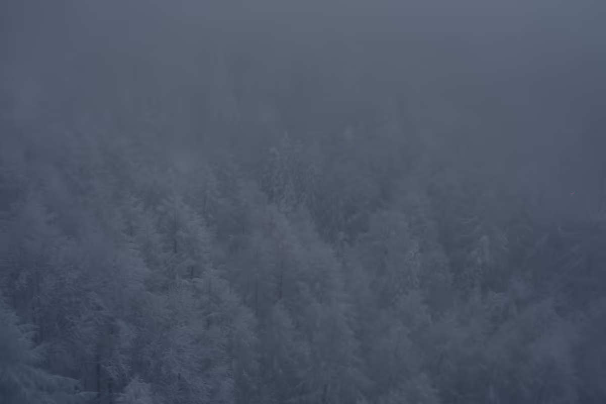 投稿写真：蔵王樹氷