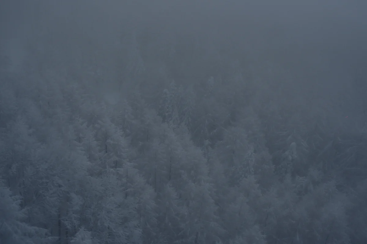 投稿写真：蔵王樹氷