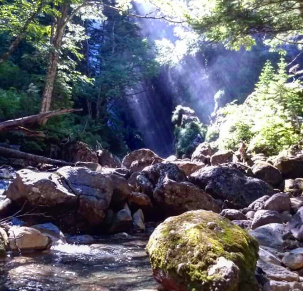 投稿写真：長野県乗鞍
