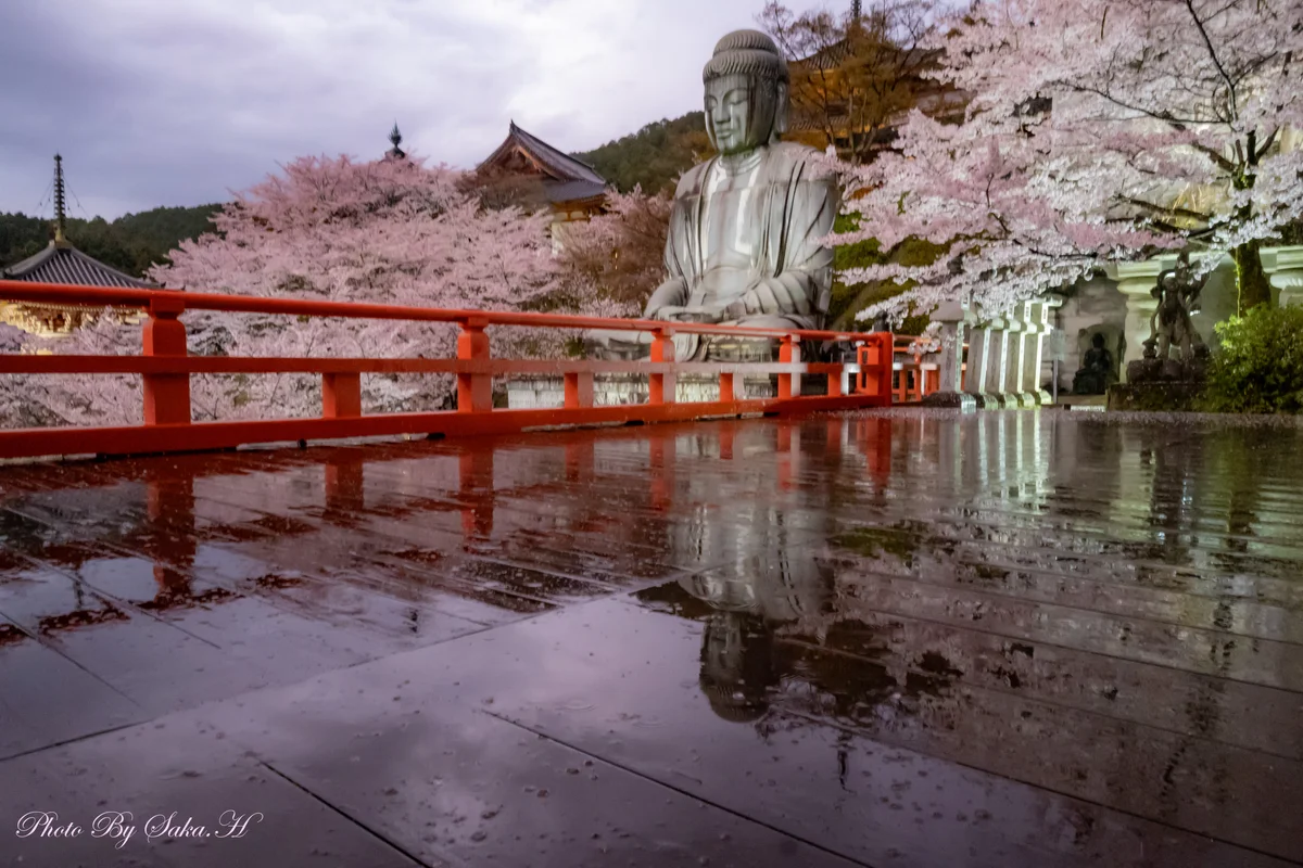 投稿写真：雨の日のご褒美