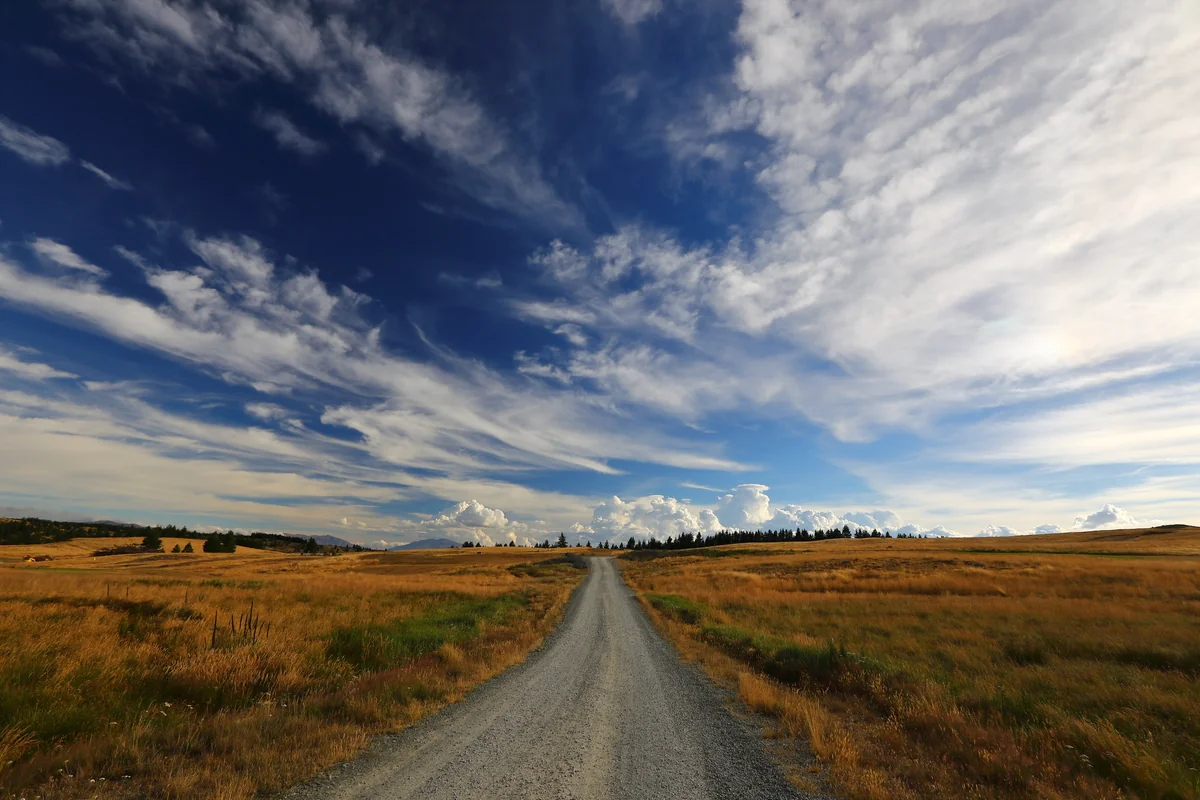 投稿写真：ニュージーランドの道